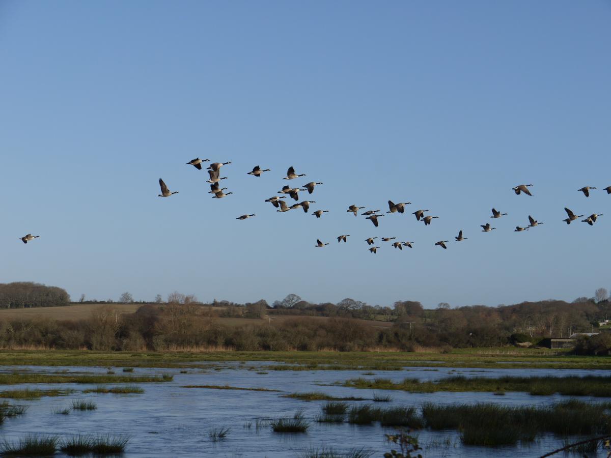 The Lodge On The Marsh Brading Экстерьер фото