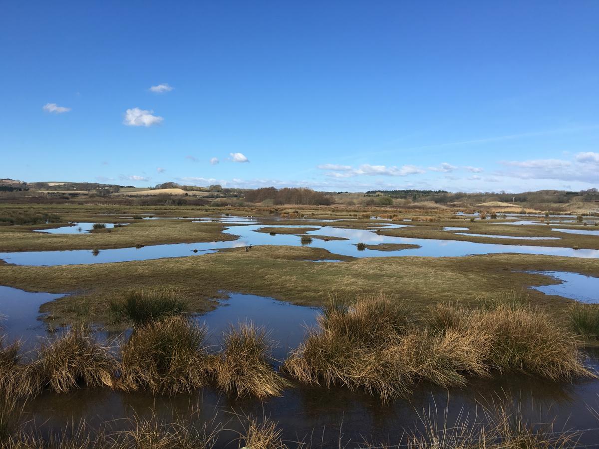 The Lodge On The Marsh Brading Экстерьер фото